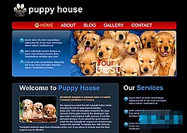 黑色背景小狗宠物之家网页模板