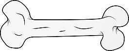 骨的插图