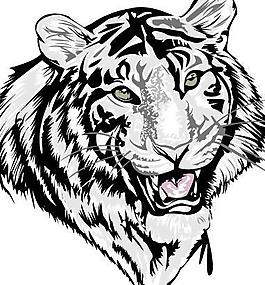 老虎矢量图