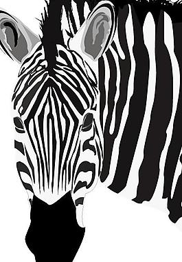 斑马矢量图