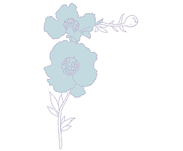 设计花纹