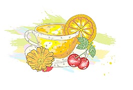 矢量水果丰富多彩的飞溅