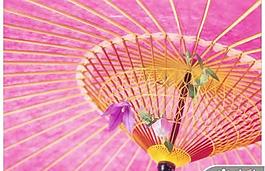 粉色花纸伞雨伞PPT模板