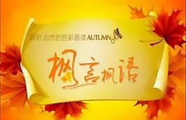 枫言枫语秋天枫叶背景PPT模板