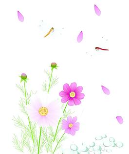红花 蜻蜓