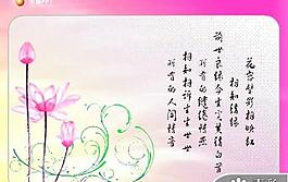 精美荷花背景PPT模板