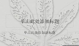 树叶背景PPT模板