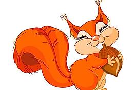 可爱松鼠矢量图