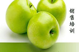 职业化销售商业培训PPT模板