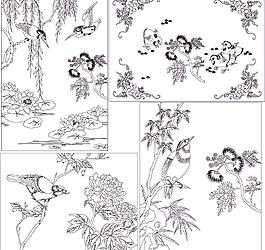 花鸟大全