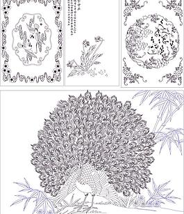 花鸟大全