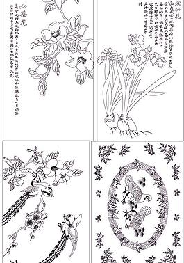 花鸟大全