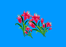 绿叶鲜花