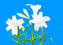 鲜花