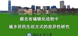 居民生活差异性研究报告PPT模板
