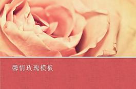 粉色馨情玫瑰花PPT模板