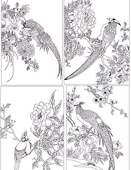 花鸟大全