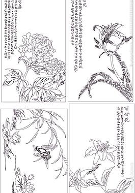花鸟大全