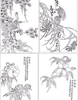 花鸟大全