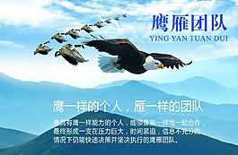 团队