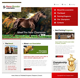 马术马场网站psd模板