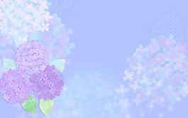 紫藤花背景图