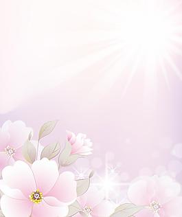 阳光花朵