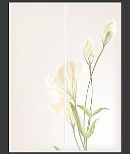 百合花