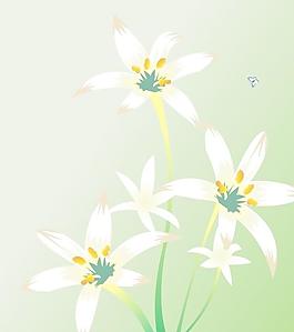 百合花