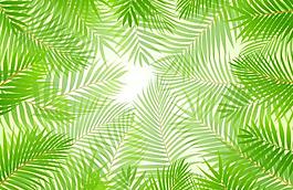 绿叶主题背景矢量图