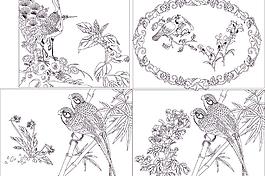 花鸟大全