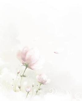 飘花