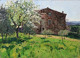 绿地屋子