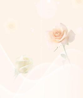 移门 玫瑰