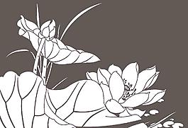 荷花 莲花 黑白图