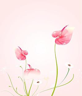 红花
