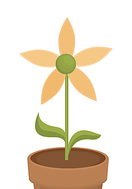 花盆