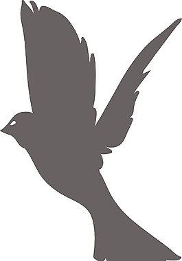 鸟的向量元素