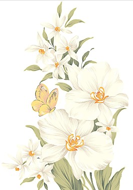 白花图片 白花素材 白花模板免费下载 六图网
