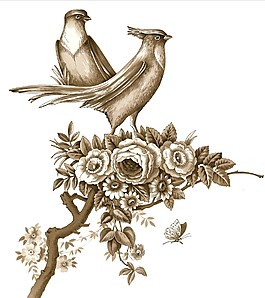 咖啡色小鸟