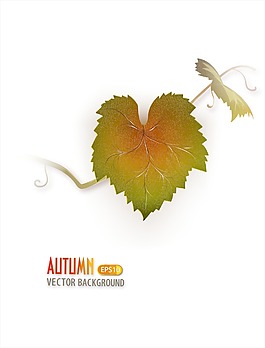 与葡萄矢量秋天背景