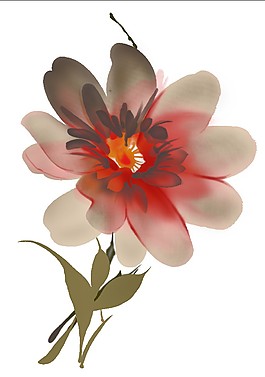 盛开的美丽花朵