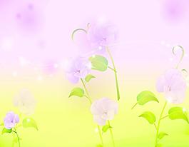 粉朦