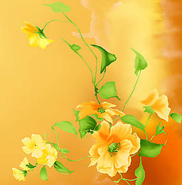 黄花绿叶