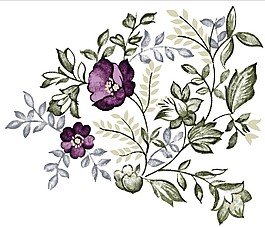 紫色鲜花绽放