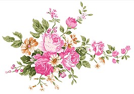 唯美鲜花绽放