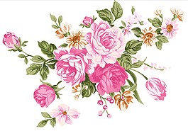 花丛鲜花绽放