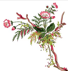 枝叶上的鲜花
