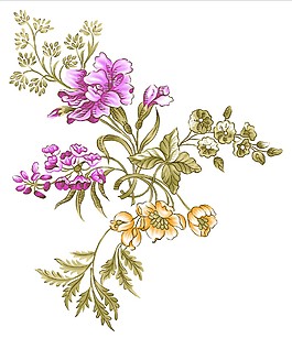 紫色鲜花绽放