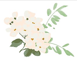 粉色小花